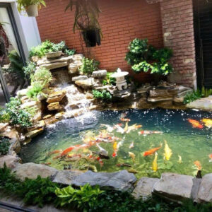 Hồ cá koi non bộ