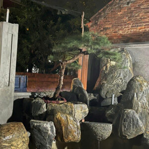 Hồ cá koi non bộ