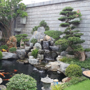 Hồ cá koi non bộ